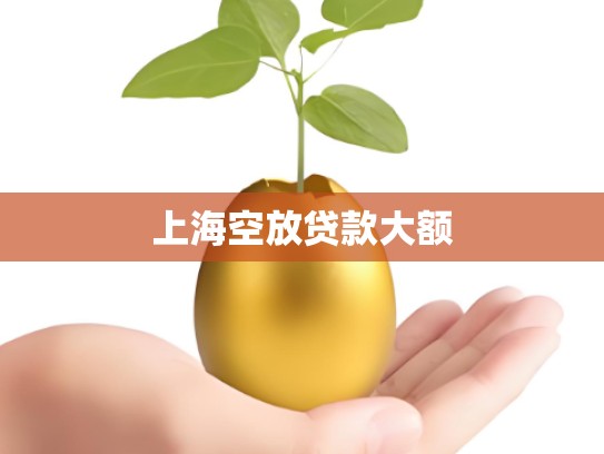 上海空放贷款大额