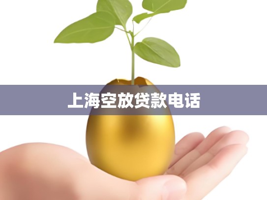 上海空放贷款电话 上海空放贷款电话