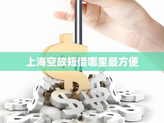 上海空放短借哪里最方便
