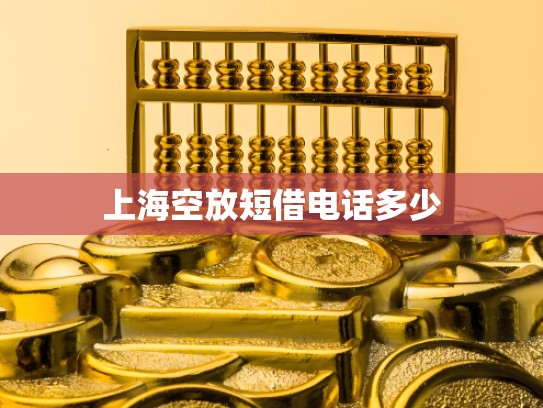 上海空放短借电话多少