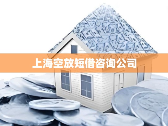 上海空放短借咨询公司