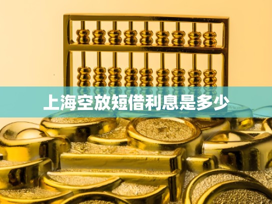 上海空放短借利息是多少