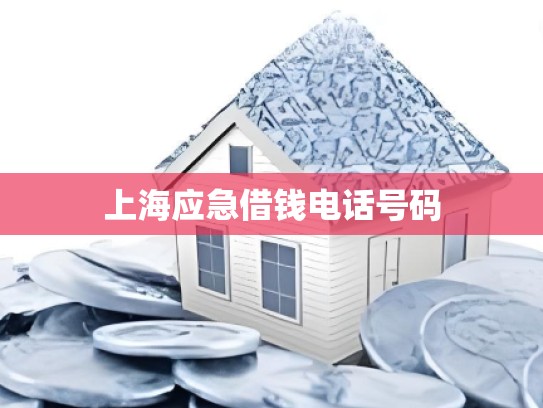 上海应急借钱电话号码 上海应急借钱电话号码