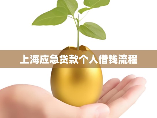 上海应急贷款个人借钱流程
