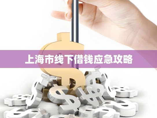 上海市线下借钱应急攻略