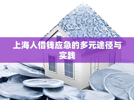 上海人借钱应急的多元途径与实践