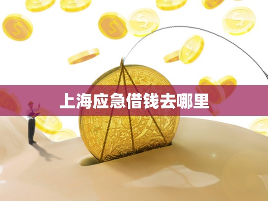 上海应急借钱去哪里 上海应急借钱去哪里