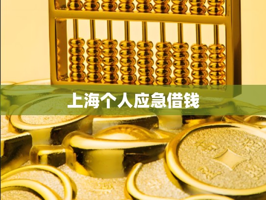上海个人应急借钱