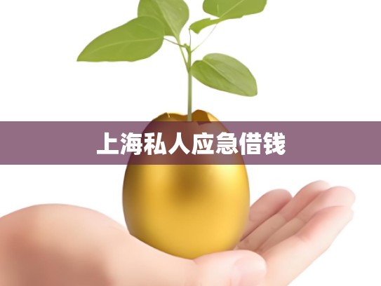 上海私人应急借钱 上海私人应急借钱