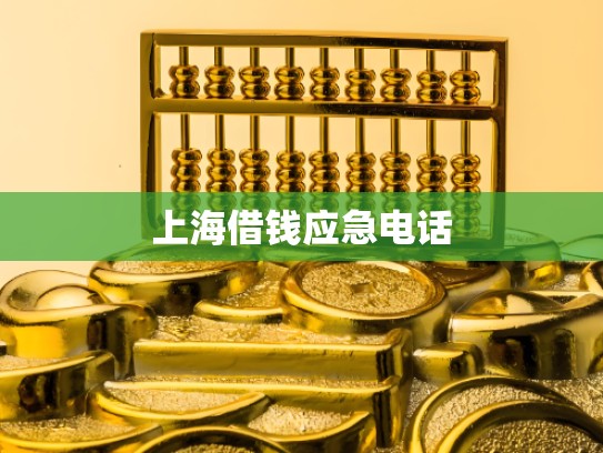 上海借钱应急电话 上海借钱应急电话