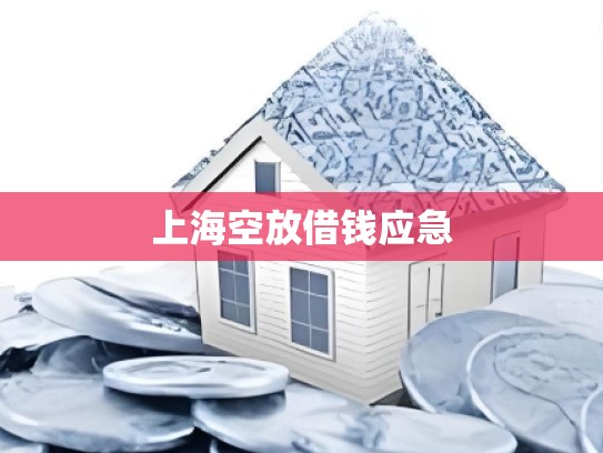 上海空放借钱应急 上海空放借钱应急