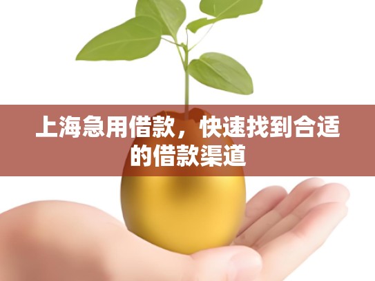上海急用借款，快速找到合适的借款渠道