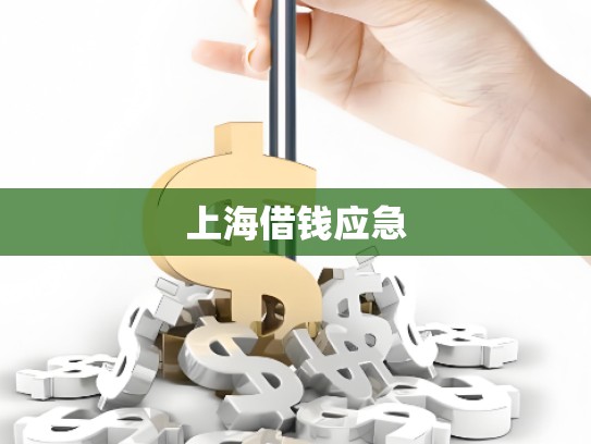 上海借钱应急