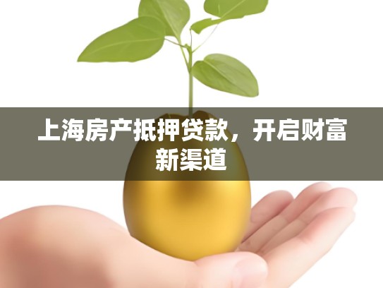 上海房产抵押贷款,开启财富新渠道 上海房产抵押贷款,开启财富新渠道