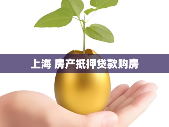 上海 房产抵押贷款购房