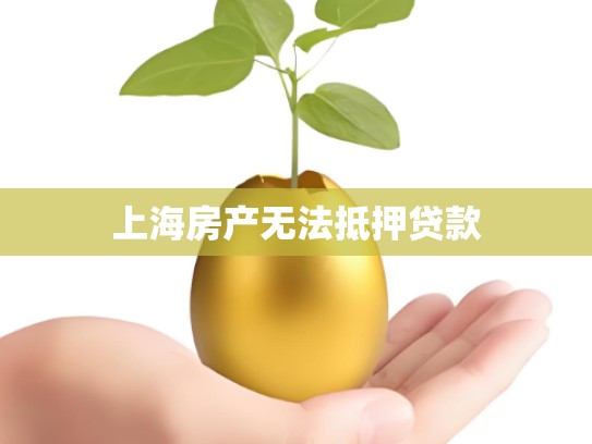 上海房产无法抵押贷款