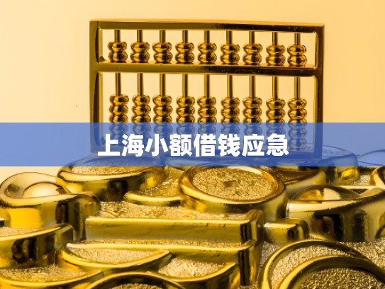 上海小额借钱应急 上海小额借钱应急