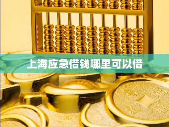 上海应急借钱哪里可以借