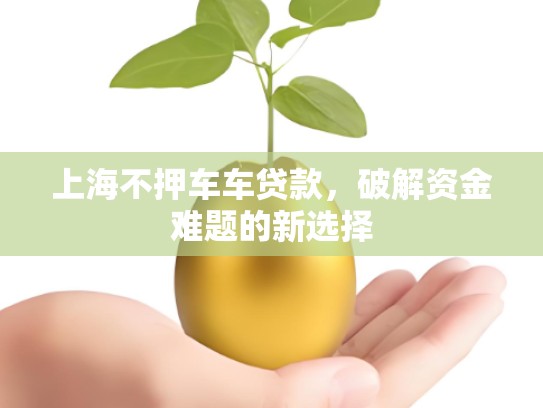 上海不押车车贷款，破解资金难题的新选择
