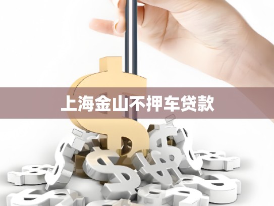 上海金山不押车贷款 上海金山不押车贷款