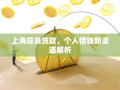 上海应急贷款，个人借钱新渠道解析