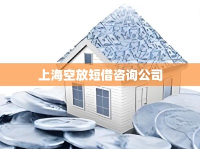 上海空放短借咨询公司