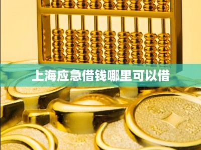 上海应急借钱哪里可以借