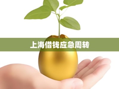 上海借钱应急周转