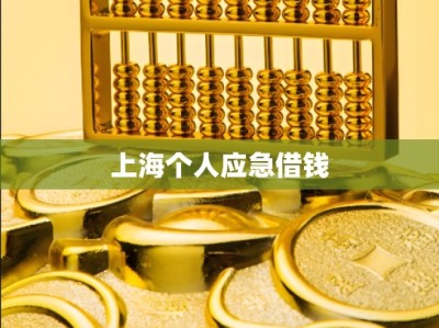 上海个人应急借钱