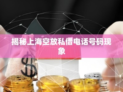 揭秘上海空放私借电话号码现象